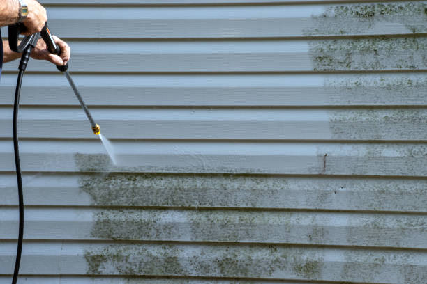 Same-Day Junk Removal Services in Bayou Vista, LA